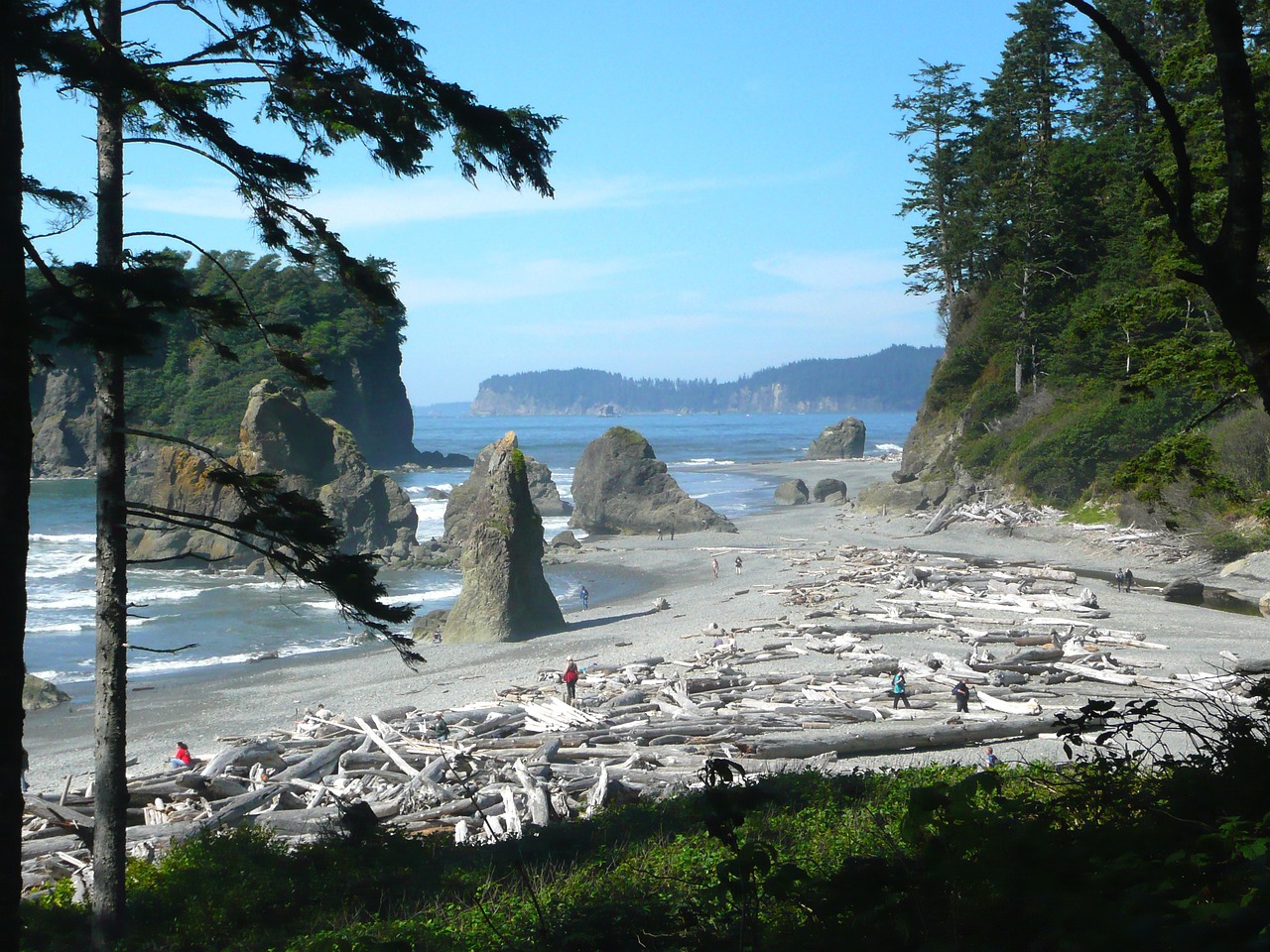 The Hidden Trails of the United States’ Olympic National Park